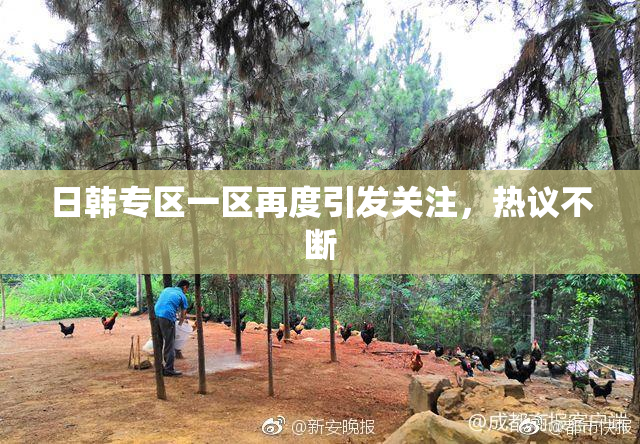 日韩专区一区再度引发关注，热议不断