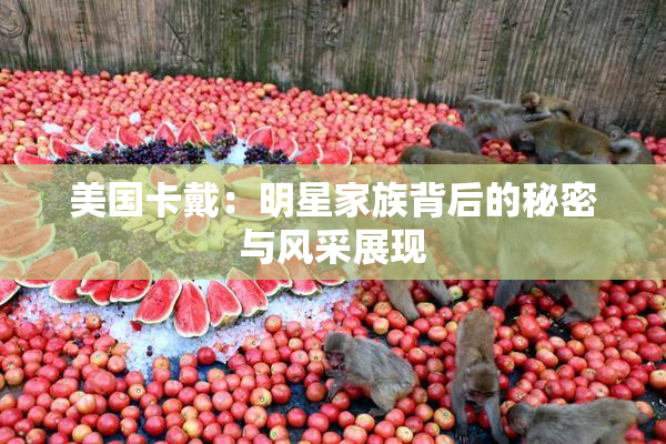 美国卡戴：明星家族背后的秘密与风采展现