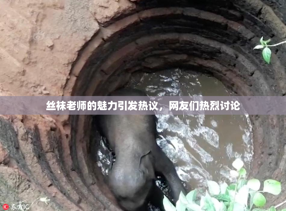 丝袜老师的魅力引发热议，网友们热烈讨论