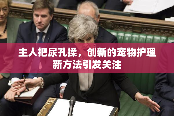 主人把尿孔揉，创新的宠物护理新方法引发关注