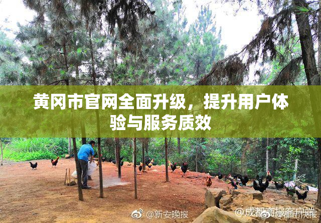 黄冈市官网全面升级，提升用户体验与服务质效
