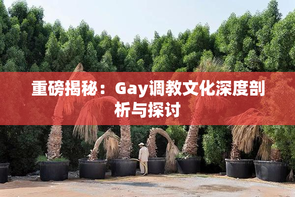 重磅揭秘：Gay调教文化深度剖析与探讨