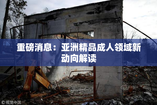 重磅消息：亚洲精品成人领域新动向解读