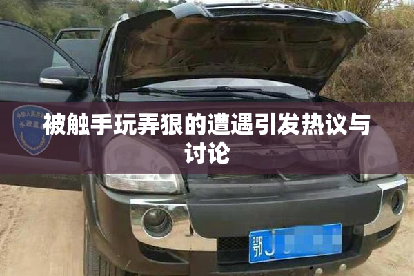 被触手玩弄狠的遭遇引发热议与讨论