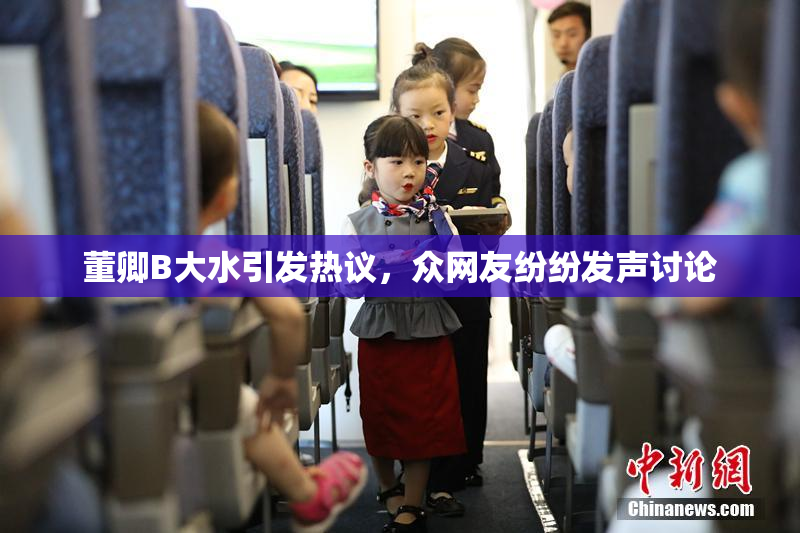 董卿B大水引发热议，众网友纷纷发声讨论