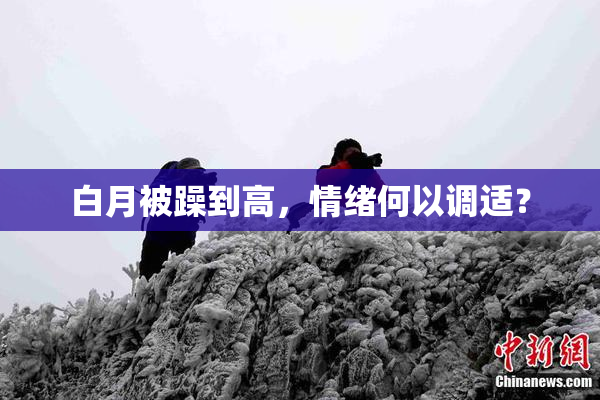 白月被躁到高，情绪何以调适？