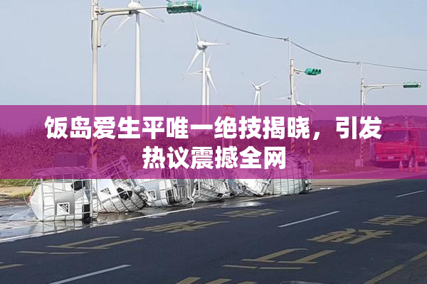 饭岛爱生平唯一绝技揭晓，引发热议震撼全网