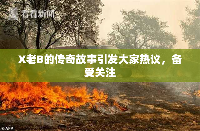 X老B的传奇故事引发大家热议，备受关注