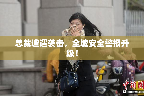 总裁遭遇袭击，全城安全警报升级！