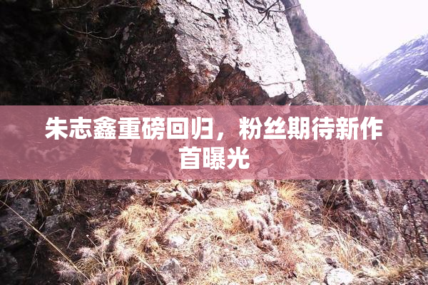 朱志鑫重磅回归，粉丝期待新作首曝光