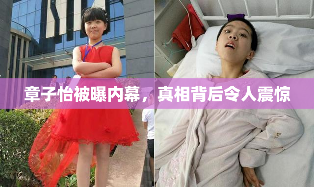 章子怡被曝内幕，真相背后令人震惊