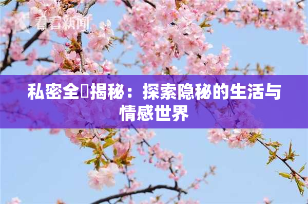 私密全婐揭秘：探索隐秘的生活与情感世界