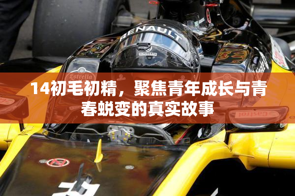 14初毛初精，聚焦青年成长与青春蜕变的真实故事