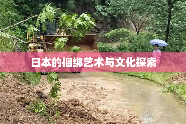 日本的捆绑艺术与文化探索
