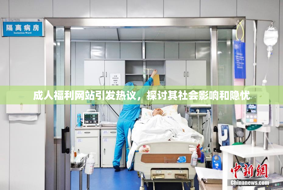 成人福利网站引发热议，探讨其社会影响和隐忧
