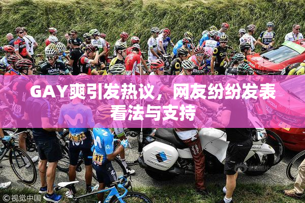 GAY爽引发热议，网友纷纷发表看法与支持