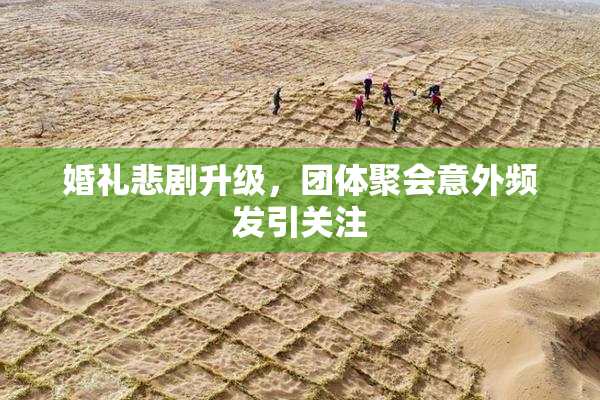 婚礼悲剧升级，团体聚会意外频发引关注