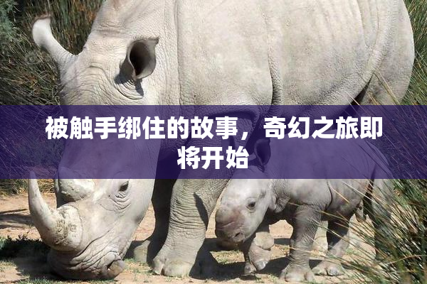 被触手绑住的故事，奇幻之旅即将开始