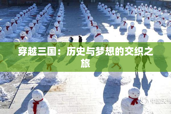 穿越三国：历史与梦想的交织之旅