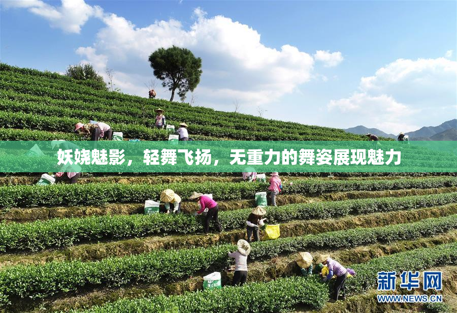 妖娆魅影，轻舞飞扬，无重力的舞姿展现魅力