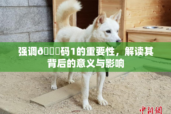 强调🈚码1的重要性，解读其背后的意义与影响