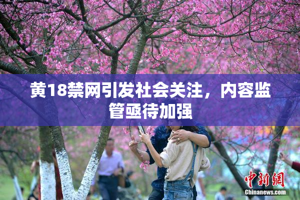 黄18禁网引发社会关注，内容监管亟待加强
