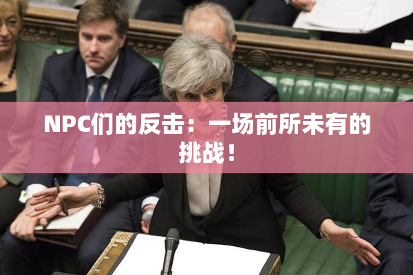 NPC们的反击：一场前所未有的挑战！