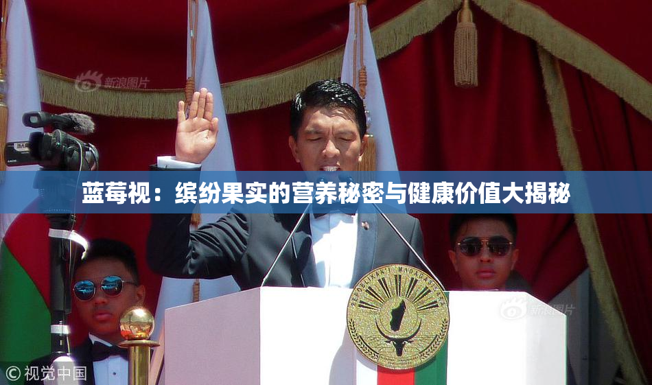蓝莓视：缤纷果实的营养秘密与健康价值大揭秘