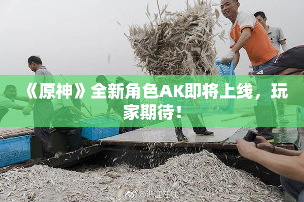 《原神》全新角色AK即将上线，玩家期待！