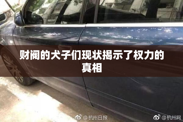 财阀的犬子们现状揭示了权力的真相