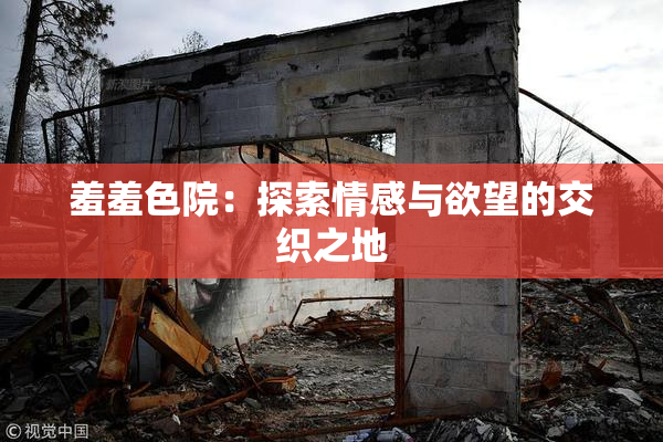 羞羞色院：探索情感与欲望的交织之地