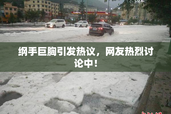 纲手巨胸引发热议，网友热烈讨论中！