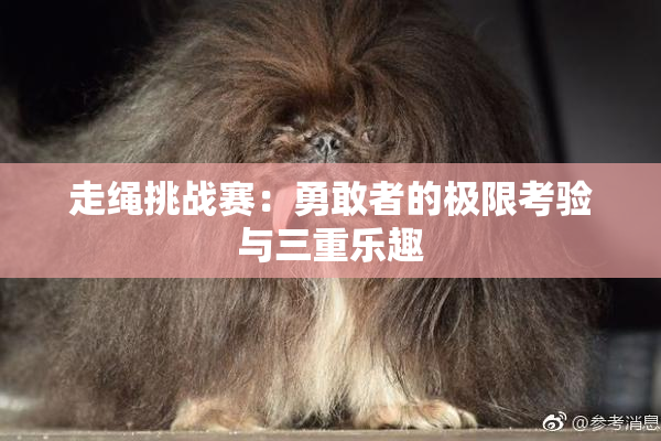 走绳挑战赛：勇敢者的极限考验与三重乐趣
