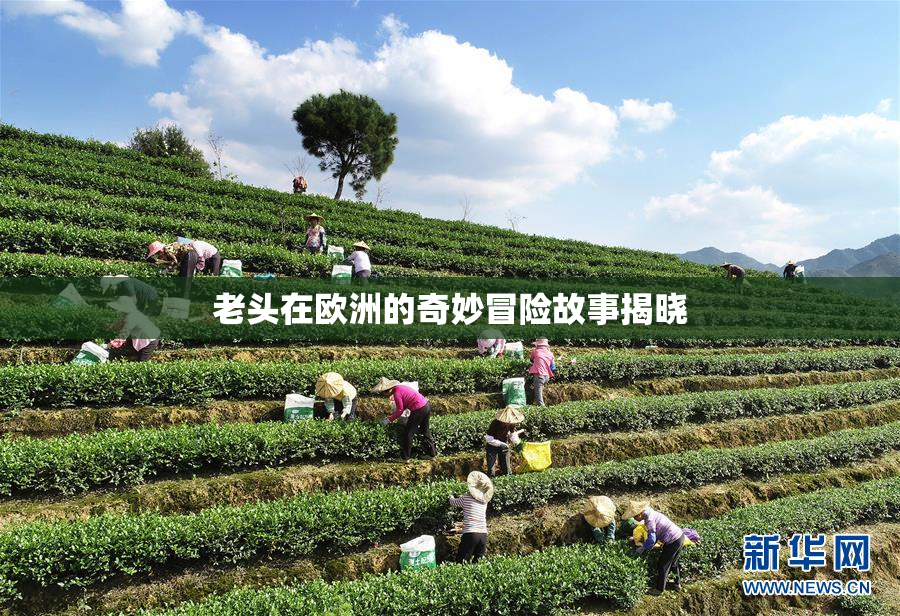 老头在欧洲的奇妙冒险故事揭晓