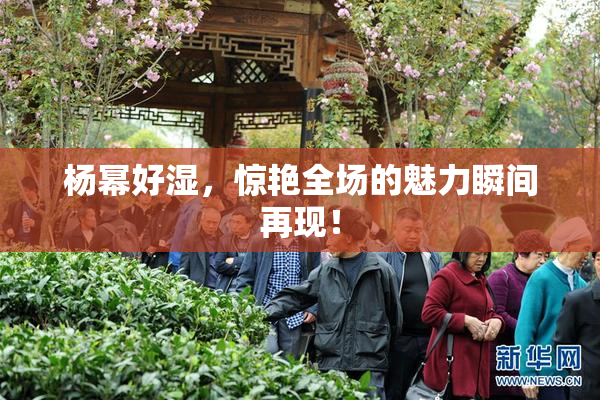 杨幂好湿，惊艳全场的魅力瞬间再现！