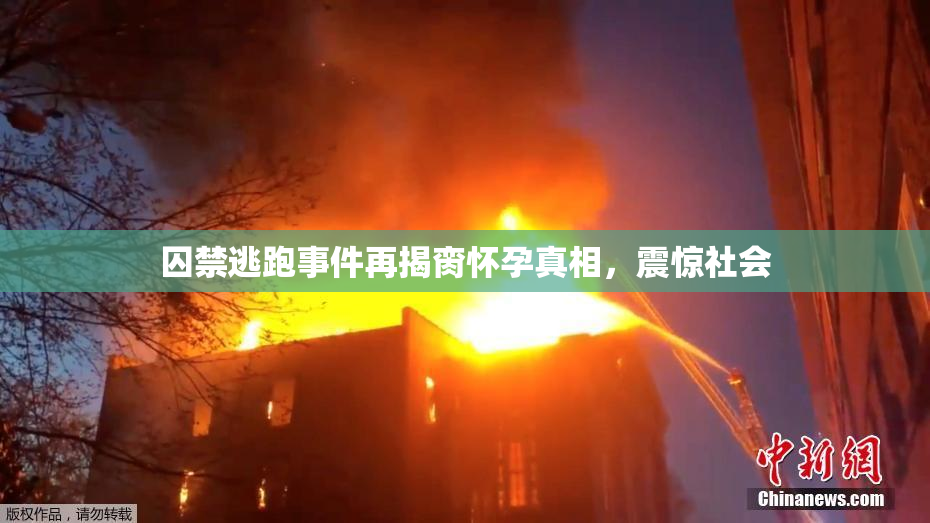 囚禁逃跑事件再揭脔怀孕真相，震惊社会