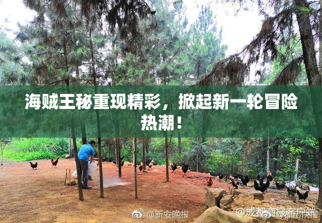 海贼王秘重现精彩，掀起新一轮冒险热潮！