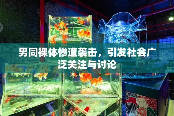 男同裸体惨遭袭击，引发社会广泛关注与讨论
