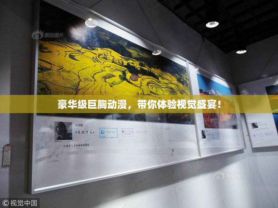 豪华级巨胸动漫，带你体验视觉盛宴！