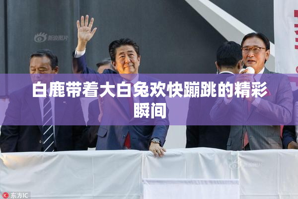 白鹿带着大白兔欢快蹦跳的精彩瞬间