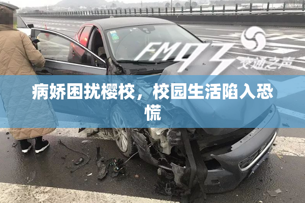 病娇困扰樱校，校园生活陷入恐慌