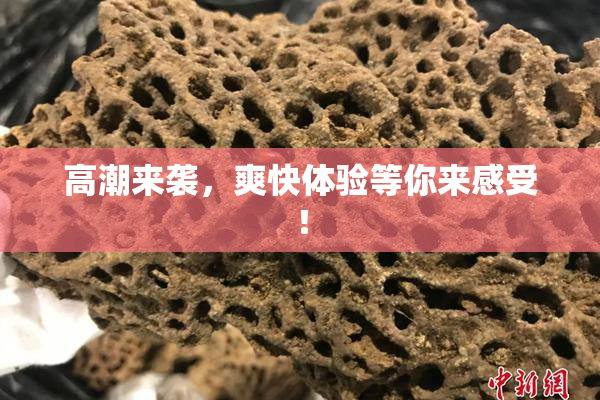 高潮来袭，爽快体验等你来感受！