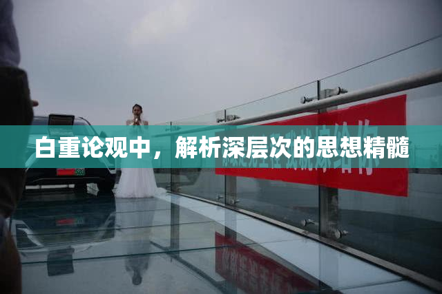 白重论观中，解析深层次的思想精髓