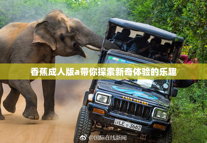 香蕉成人版a带你探索新奇体验的乐趣