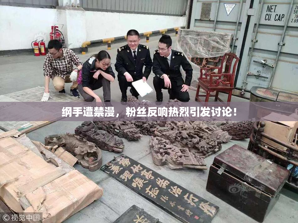 纲手遭禁漫，粉丝反响热烈引发讨论！