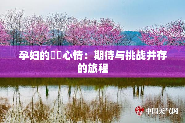 孕妇的乂乄心情：期待与挑战并存的旅程