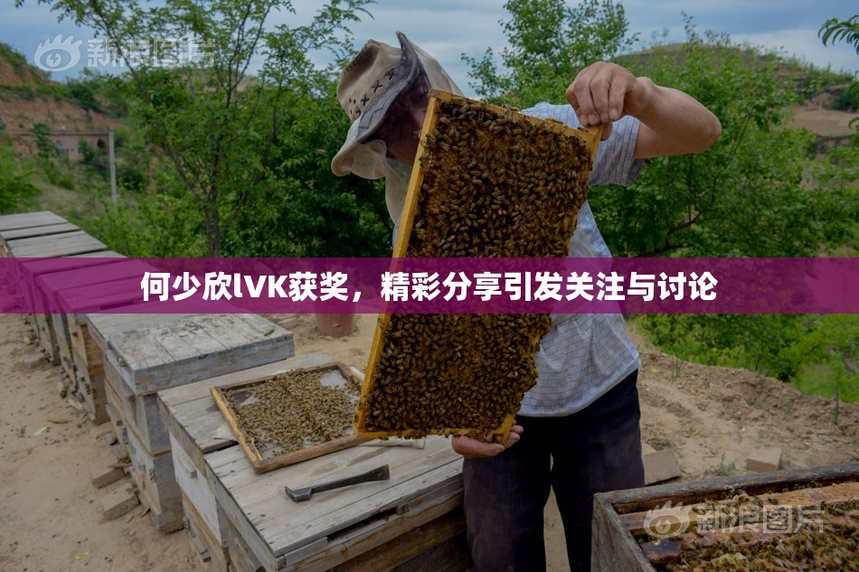 何少欣lVK获奖，精彩分享引发关注与讨论