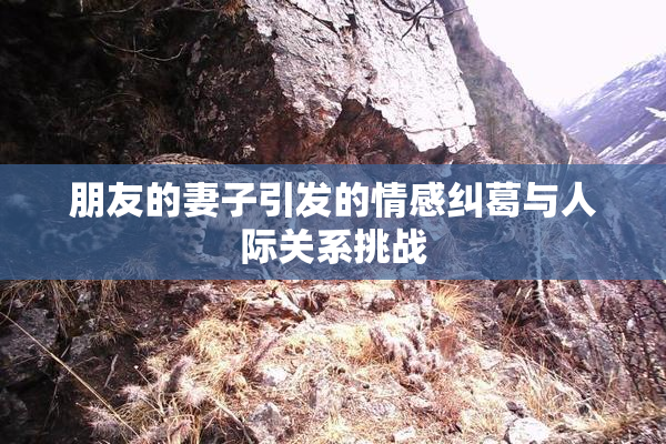 朋友的妻子引发的情感纠葛与人际关系挑战