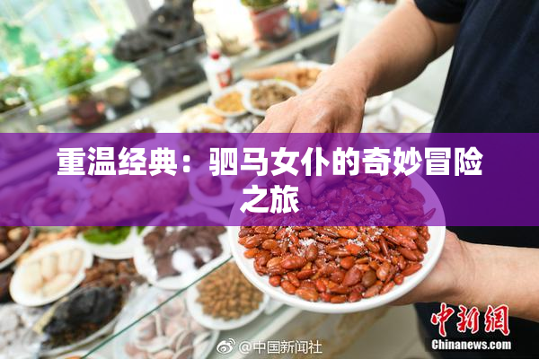 重温经典：驷马女仆的奇妙冒险之旅