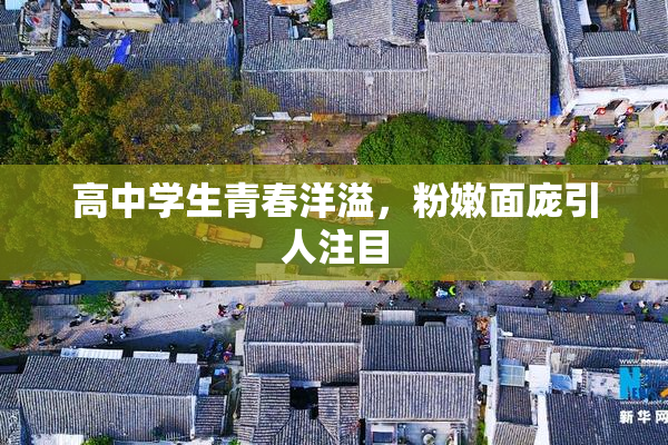 高中学生青春洋溢，粉嫩面庞引人注目